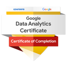 Google data analytics profesional certificate